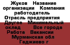 Жуков › Название организации ­ Компания-работодатель › Отрасль предприятия ­ Другое › Минимальный оклад ­ 1 - Все города Работа » Вакансии   . Мурманская обл.,Гаджиево г.
